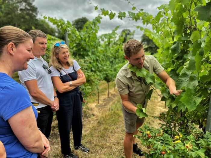 “A Year in the Vineyard” Viticulture Course