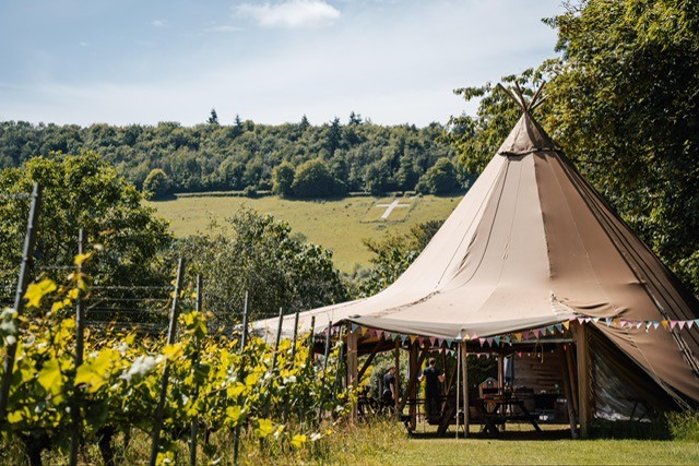 The Mount Vineyard & The Samuel Palmer Beer & Wine Festival
