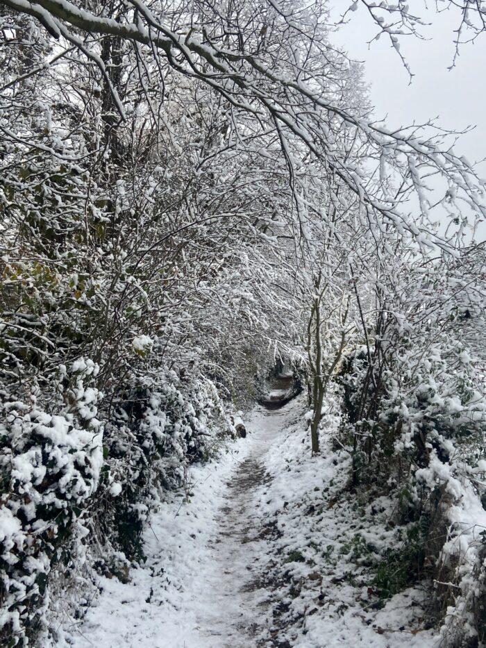 Winter Walk and Lunch at The Mount Vineyard