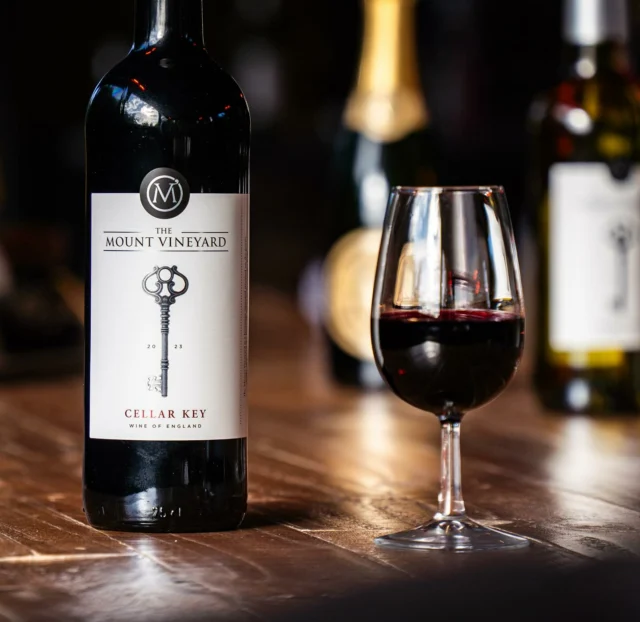 Mount wine outlet